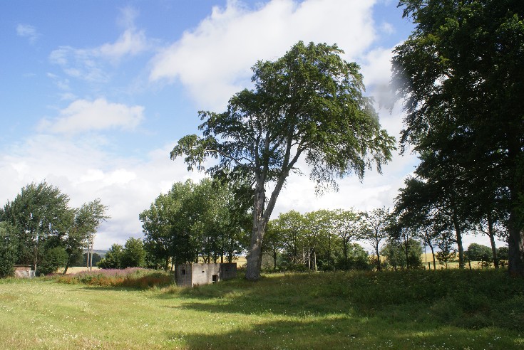 Pill Box on the Tomich Road