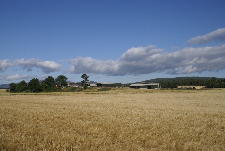Lower Kincraig Farm