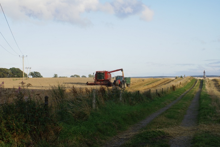 Bringing in the Harvest at Mains Farm