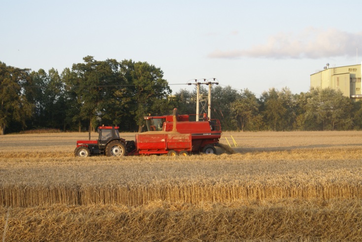 Teamwork at the Harvest
