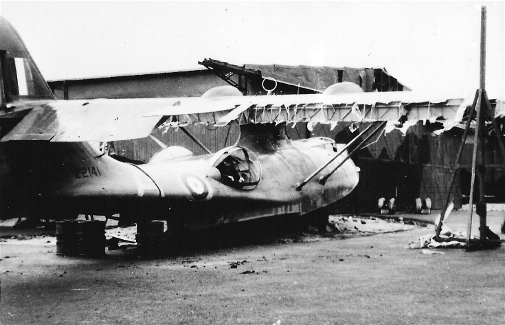 Catalina Z2141