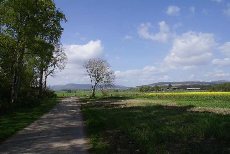 The View West from Castle Woods