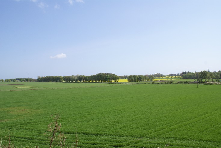 The View South East from Lower Kincraig Farm
