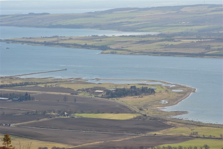 Alness Point from Fyrish