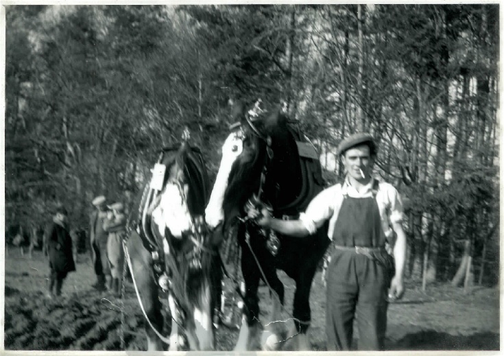 Ploughing Competition