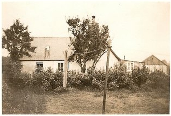 Grandparent's house at Blackpark