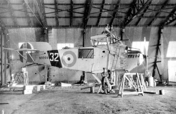 Bison at Novar, 1927