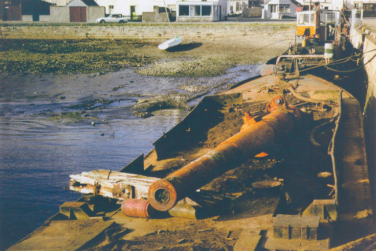 Natal Guns