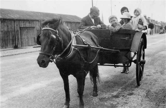 Local Transport