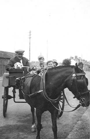 Local Transport