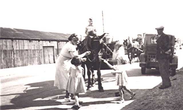 Local Transport