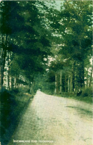 Inverbreakie Road, Invergordon
