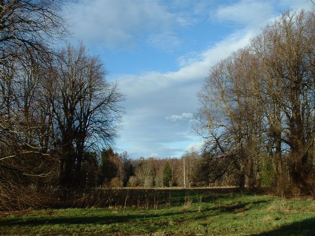 Castle Grounds and avenue of Lime Trees