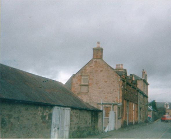 Rhinds
