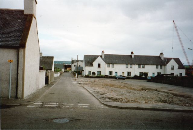 Rhinds