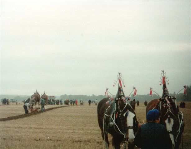 Ploughing Competition