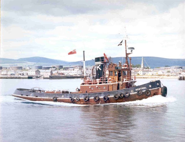 Kestrel