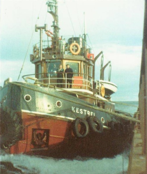 Kestrel at Invergordon