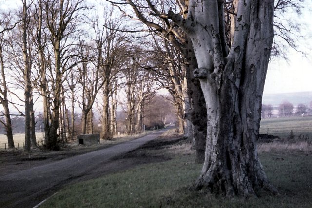 Castle Road, Invergordon