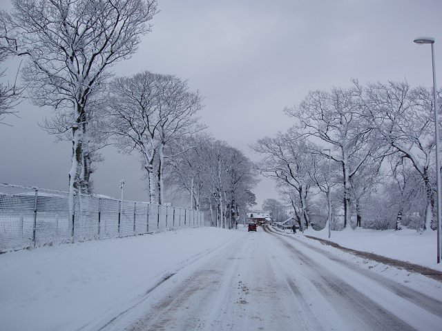 Winter in Invergordon
