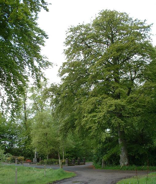 Polish War Memorial