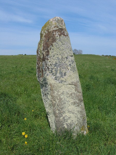 Thief's Stone