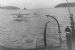 Naval Activities in the Firth
